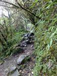 18032011919 - Aufstieg zum Cerro Machu Picchu
